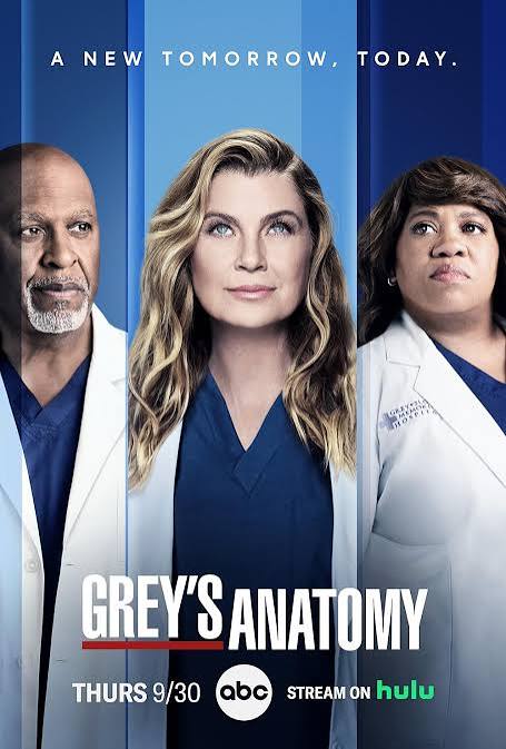 Séries: Grey's Anatomy — disponível na Ultra View